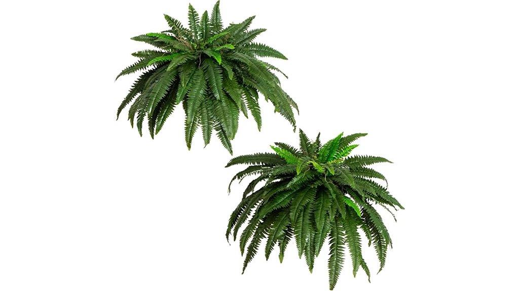 artificial boston ferns set