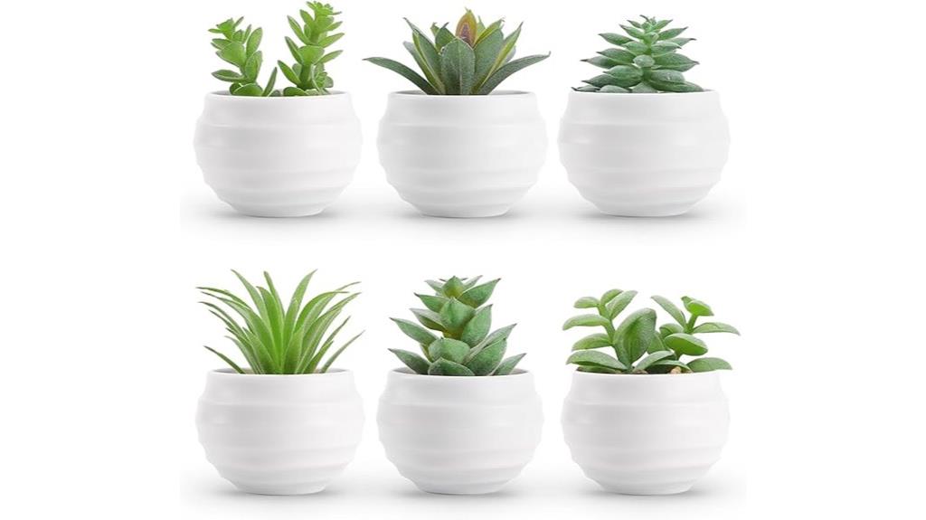 artificial succulent plant set