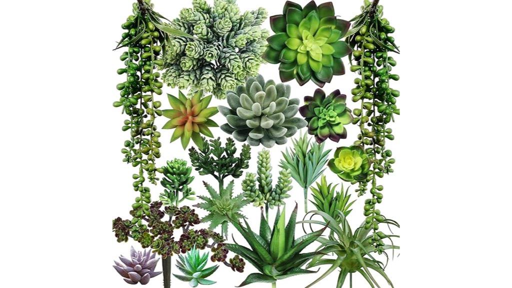 assorted artificial succulent plants