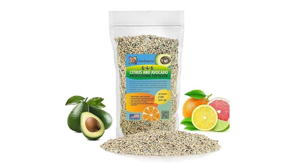 avocado citrus tree fertilizer
