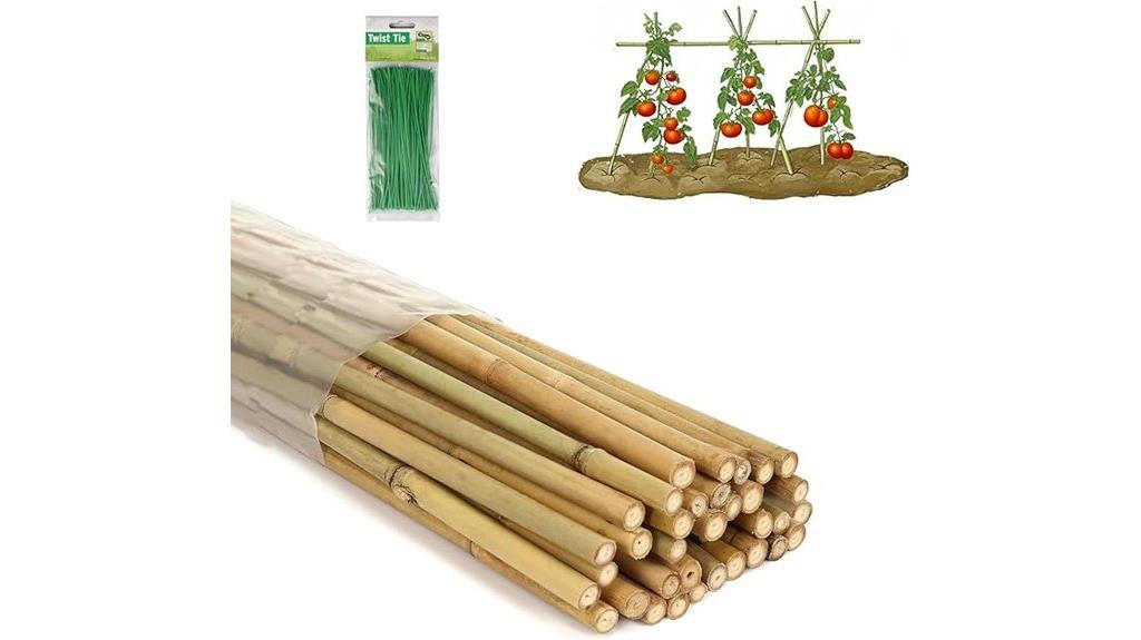 bamboo stakes with ties