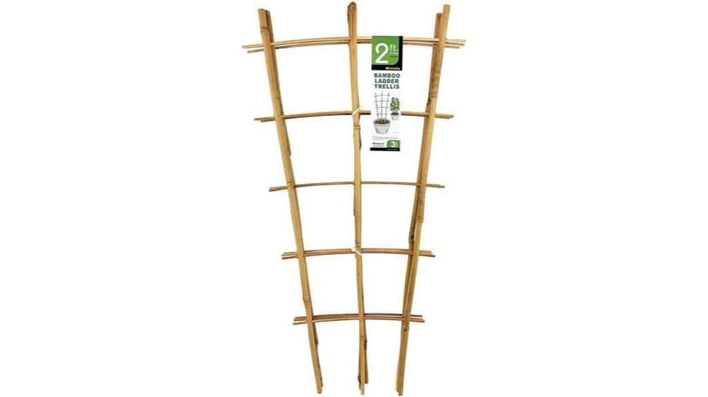 bamboo trellis for climbing plants
