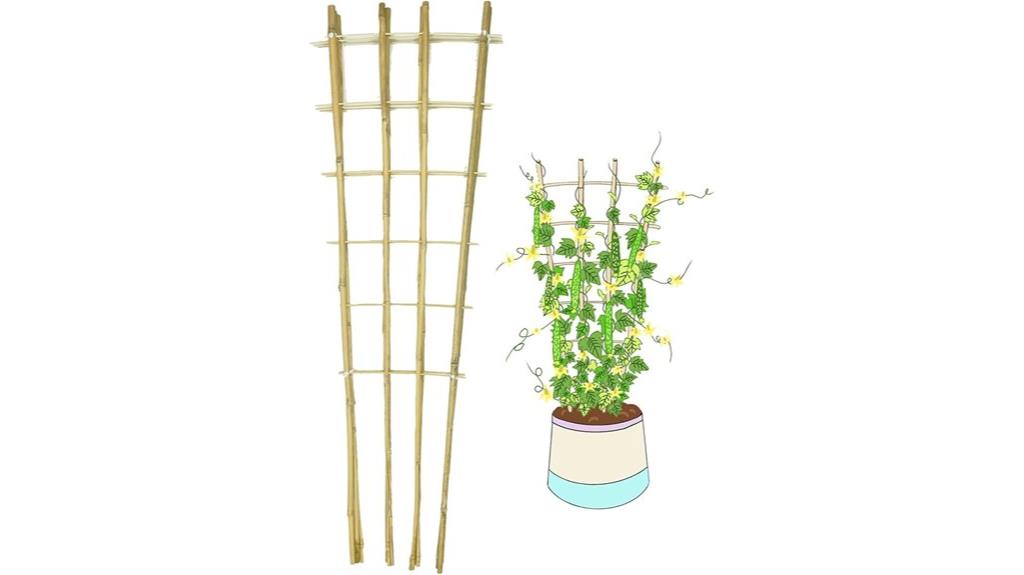bamboo trellis plant support