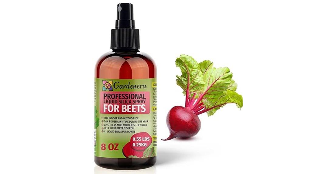 beet plant fertilizer boost