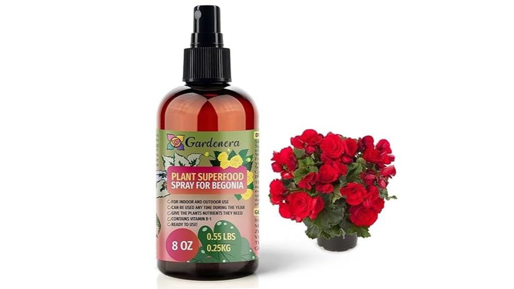 bestselling begonia plant superfood