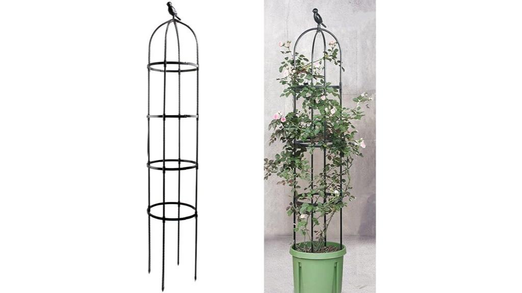 black climbing plant trellis