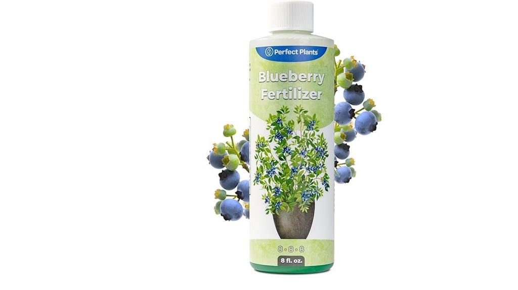 blueberry fertilizer for plants