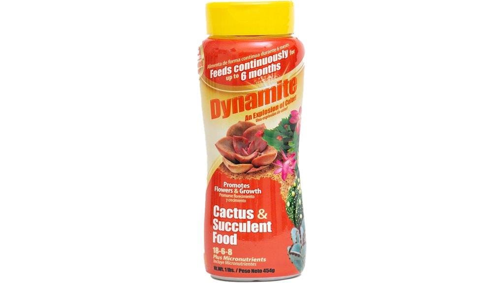 cactus and succulent fertilizer