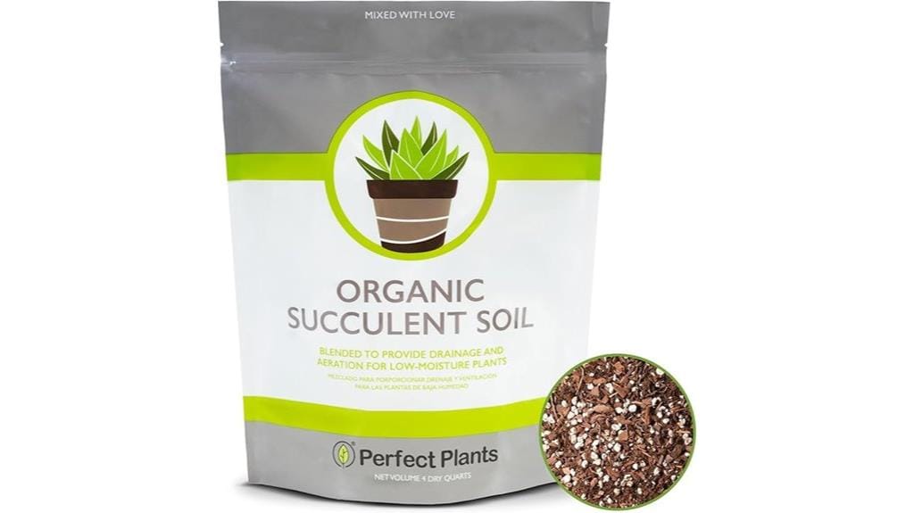cactus and succulent soil