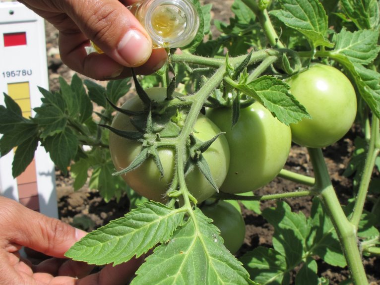 calcium enhances plant resilience