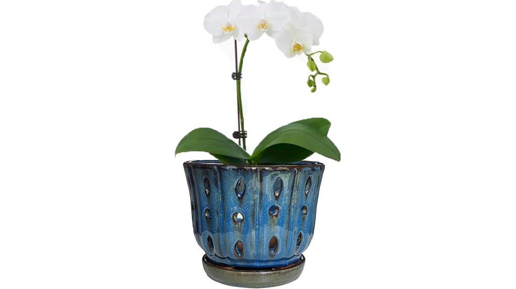 ceramic orchid pot dark blue