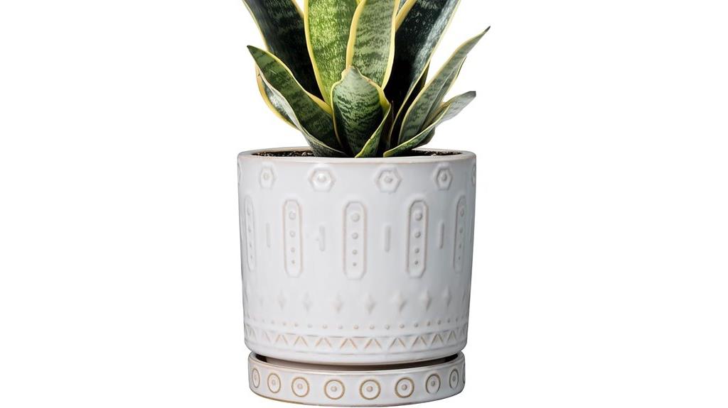 ceramic plant pot set