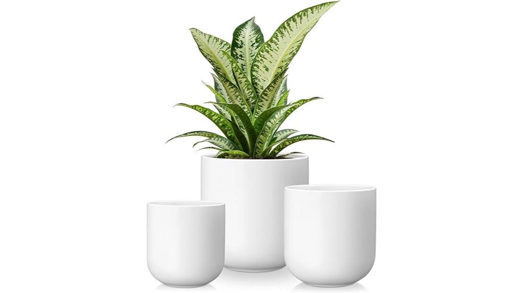 ceramic plant pots set