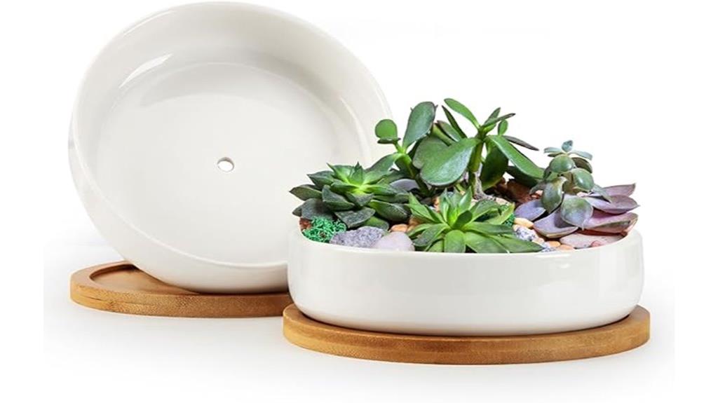 ceramic plant pots set