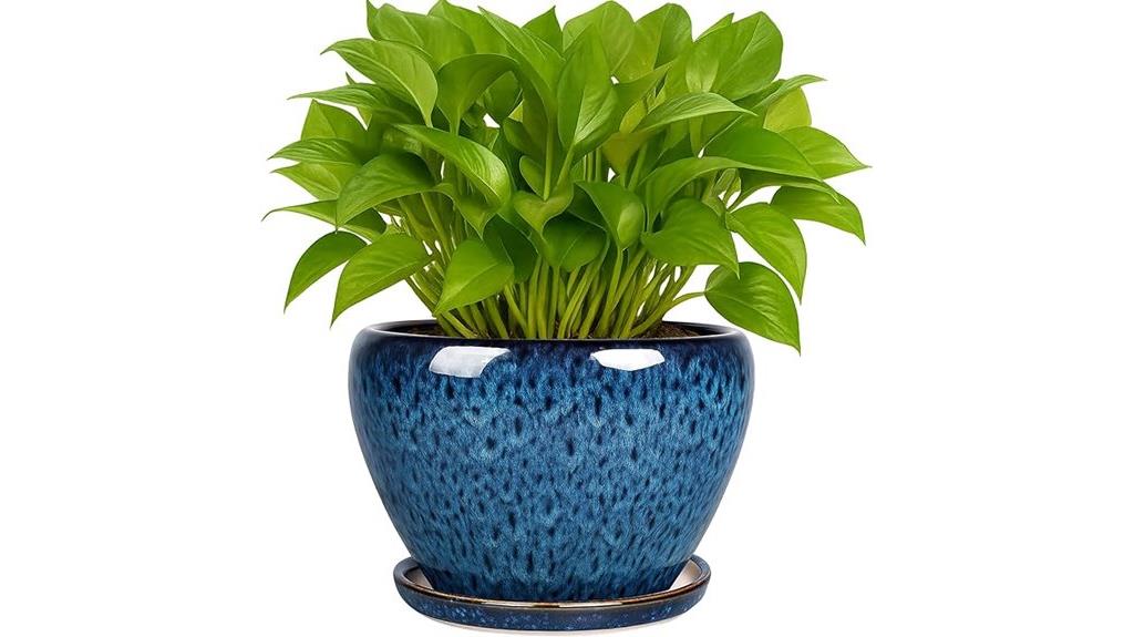 ceramic plant pots set