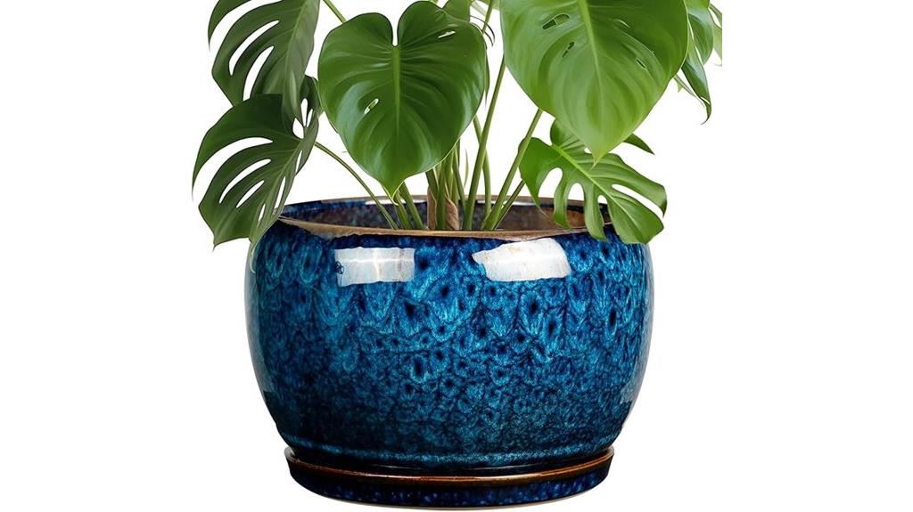 ceramic pot with drainage
