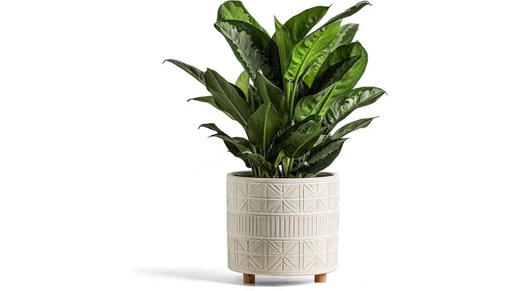 ceramic pot with legs