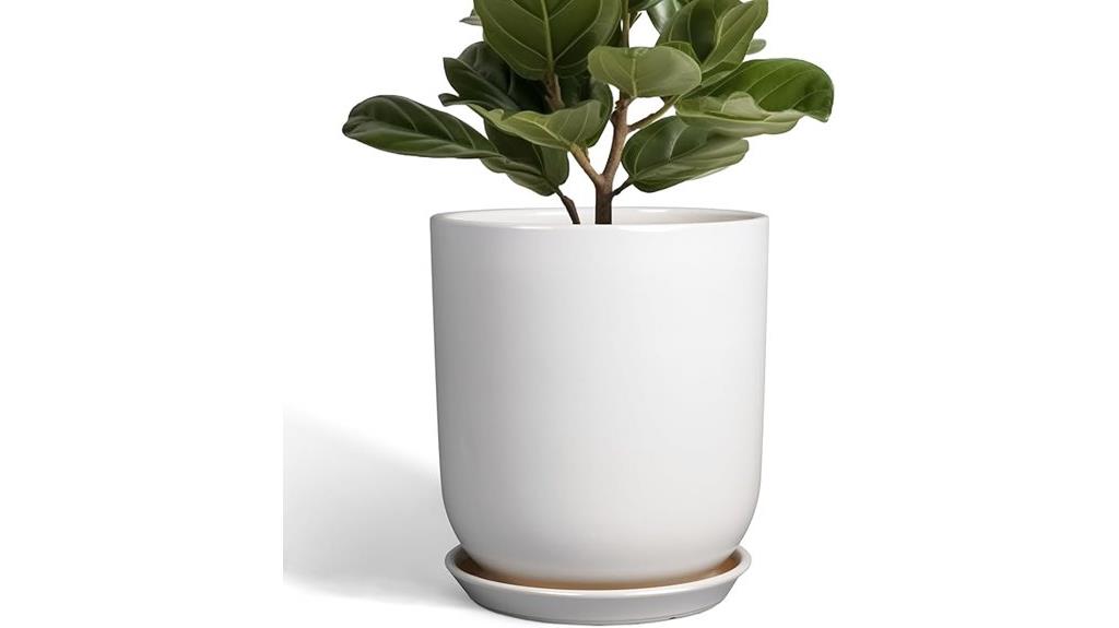 ceramic pot with saucer