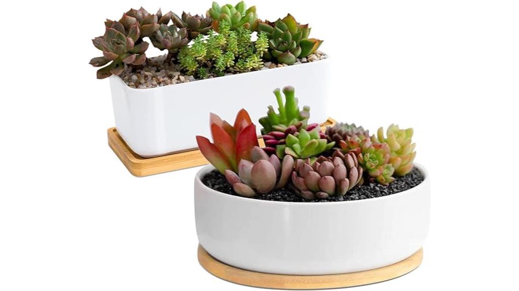 ceramic pots with drainage