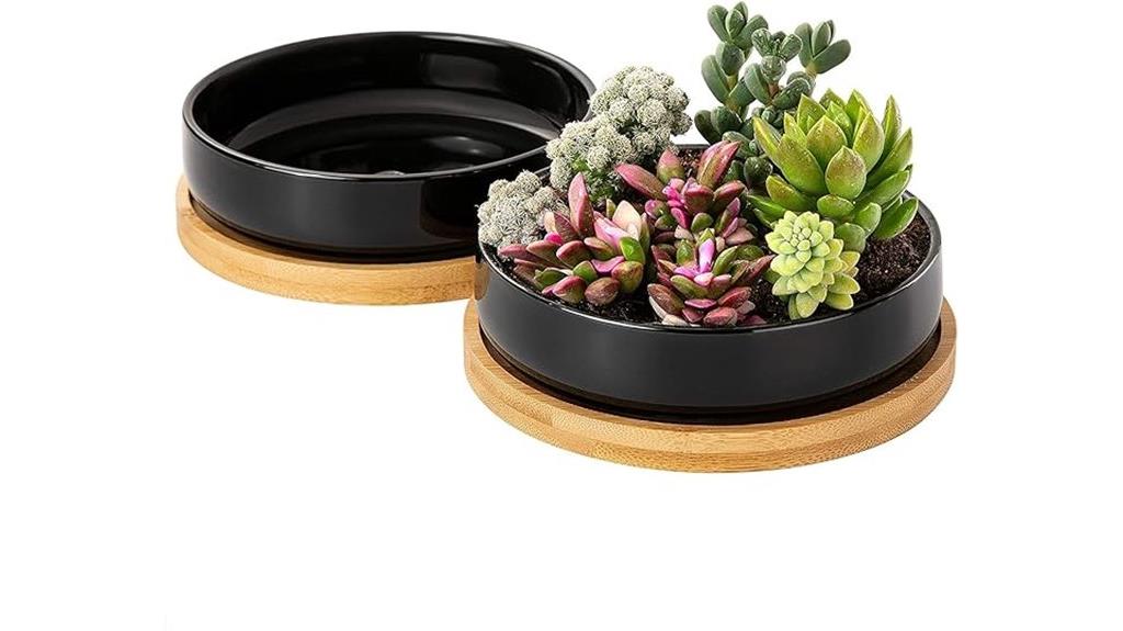 ceramic pots with tray