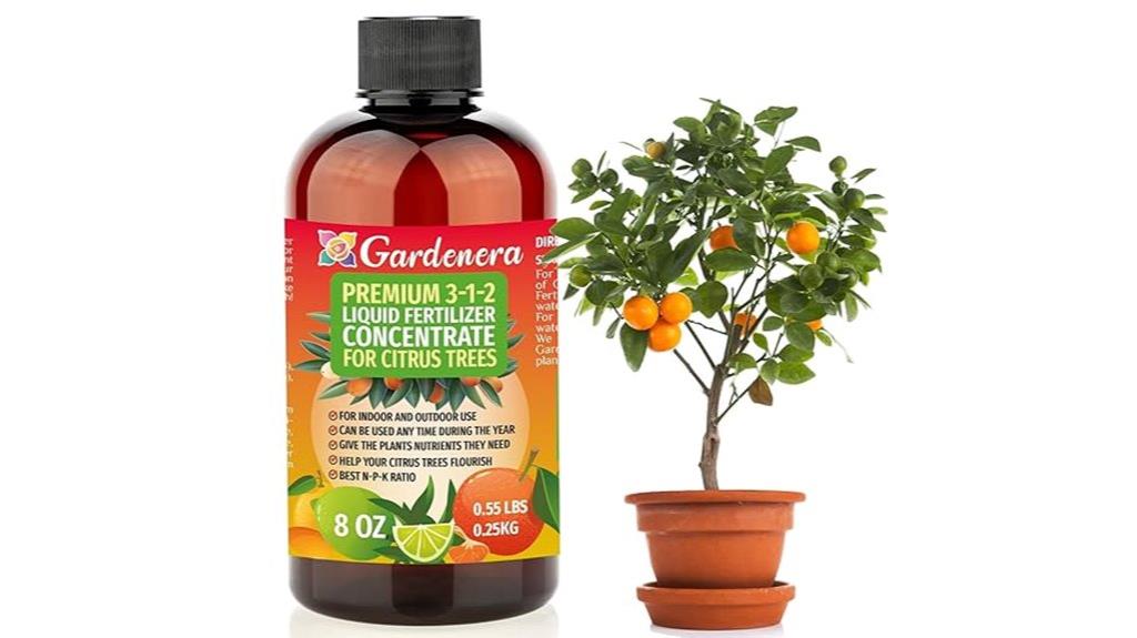citrus tree fertilizer liquid