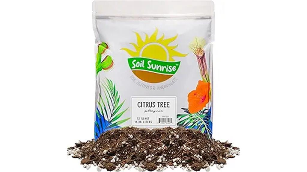 citrus tree soil mix