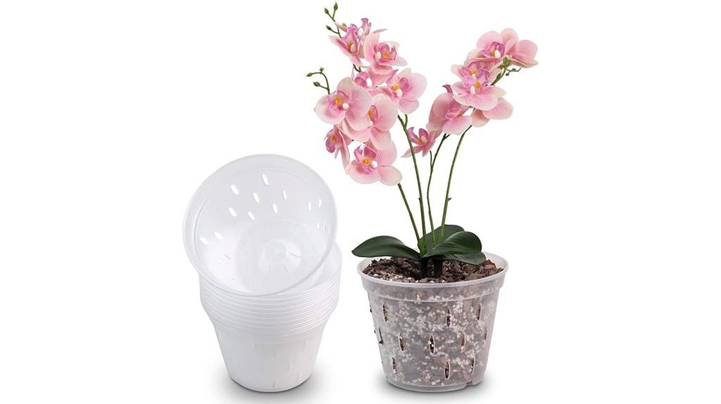 clear orchid pots pack