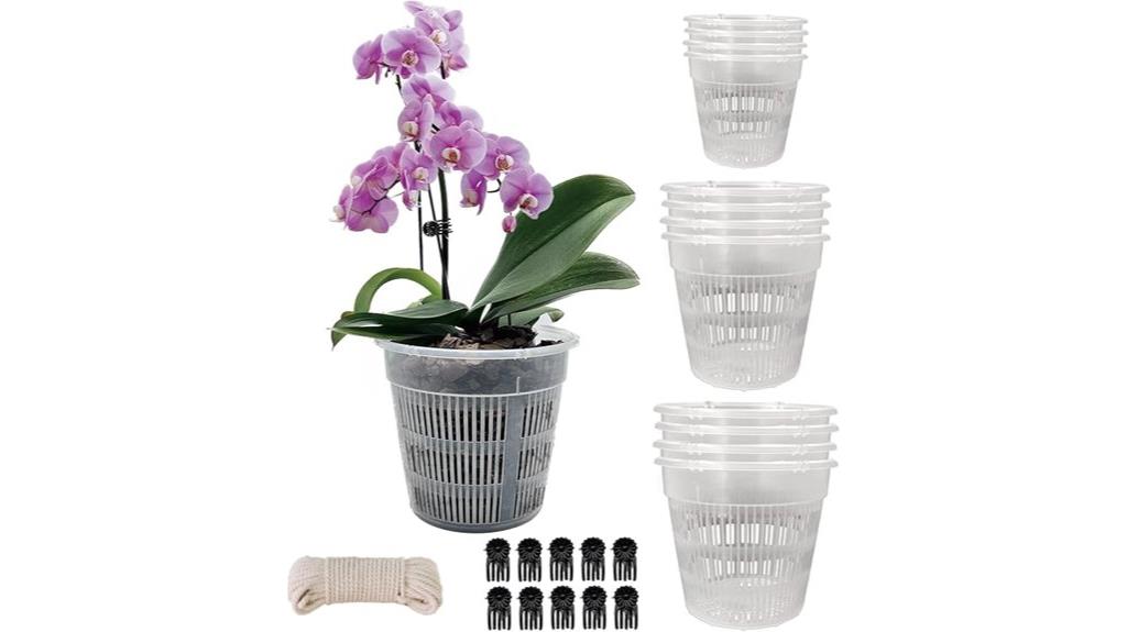 clear orchid pots set