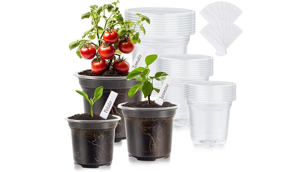 clear plant nursery pots