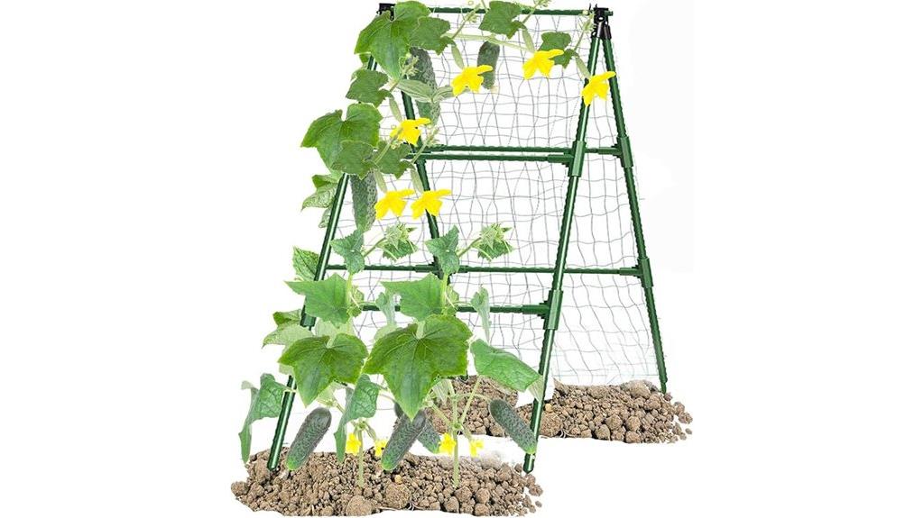 climbing plant support frame