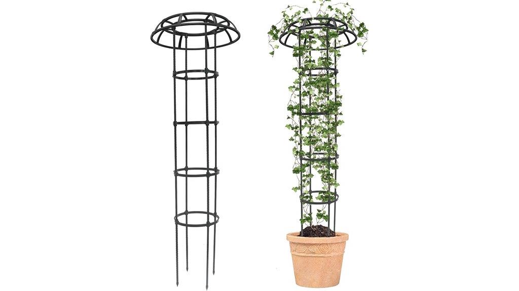 climbing plants garden trellis