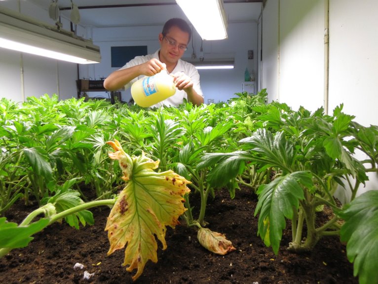 complex plant nutrition solutions