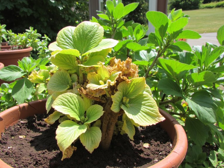 consistent moisture encourages growth