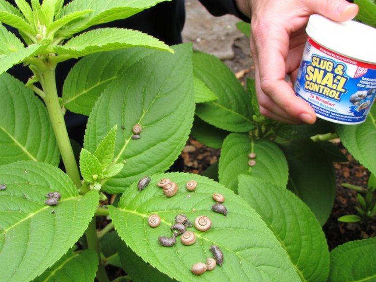 controlling garden destroying mollusks