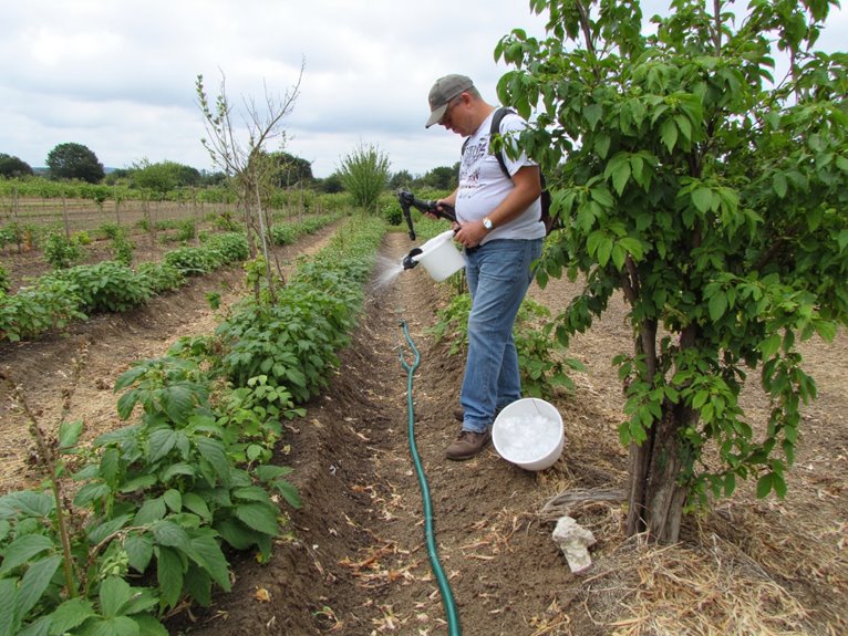 critical hydration for plants
