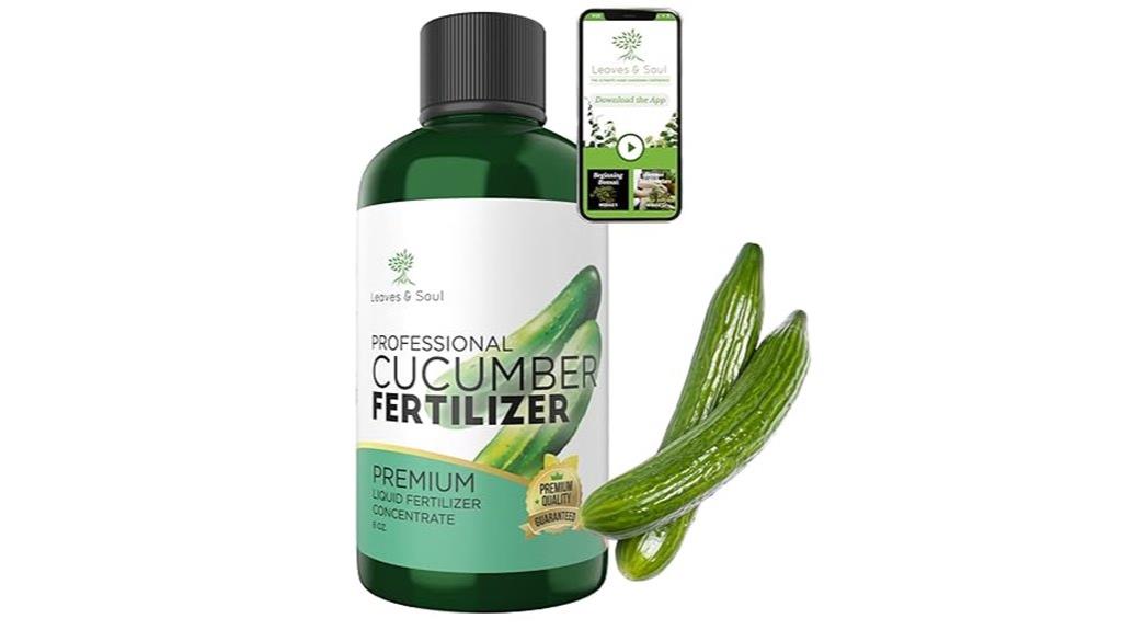 cucumber fertilizer concentrate solution