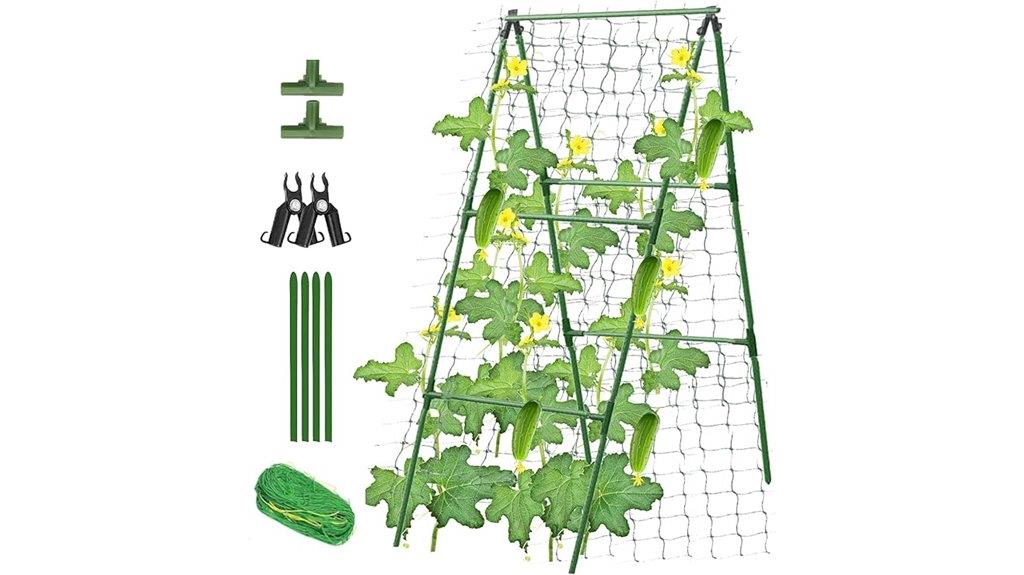 cucumber trellis for climbing