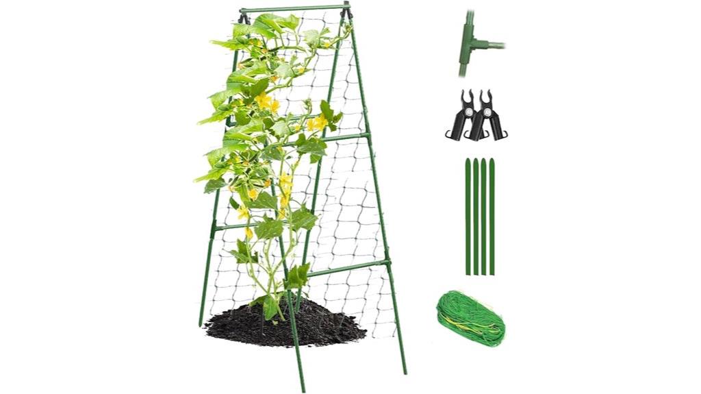 cucumber trellis with climbing net