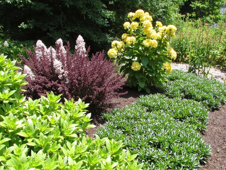 disease resistant garden plants