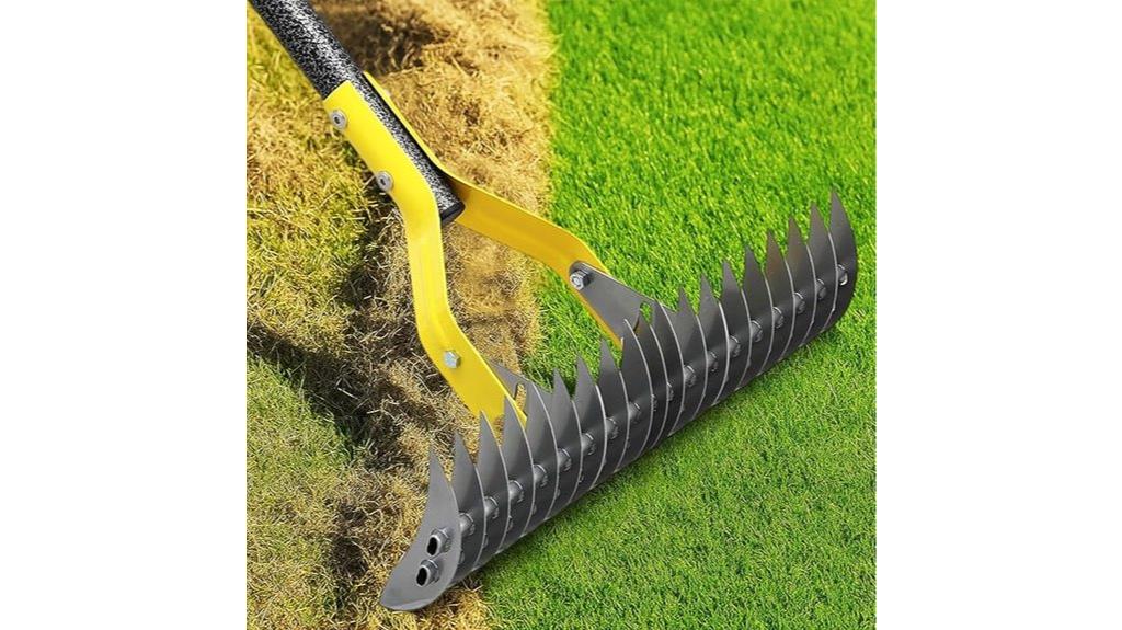 dual action lawn dethatcher tool