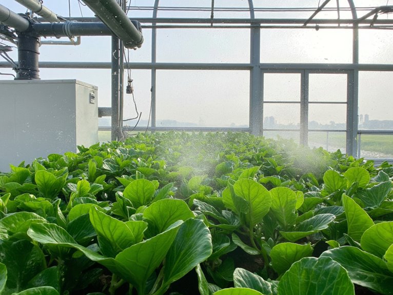 effective humidity management strategies