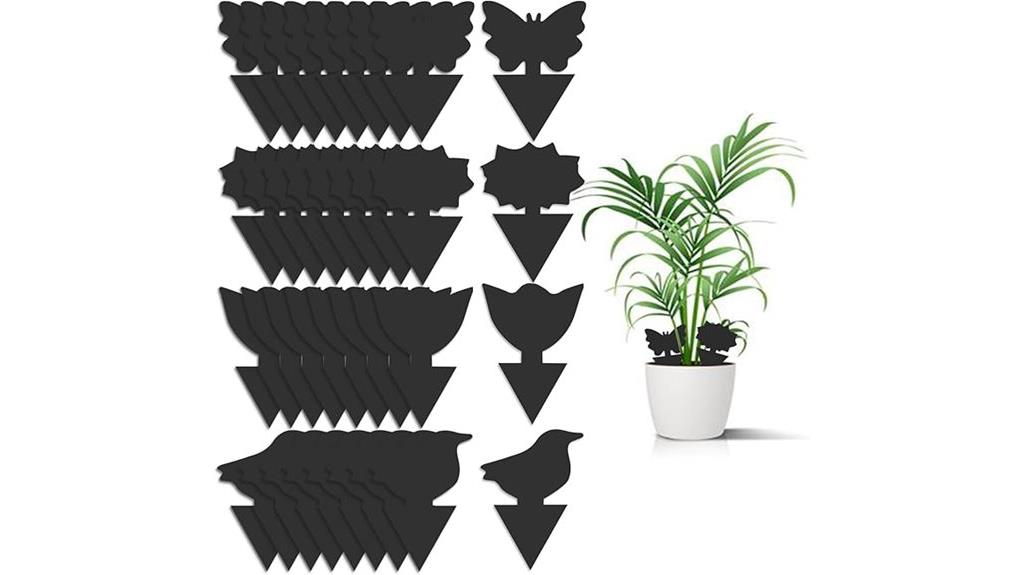 effective indoor plant protection