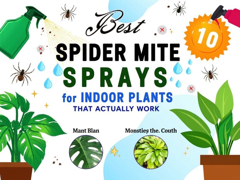effective indoor plant treatments