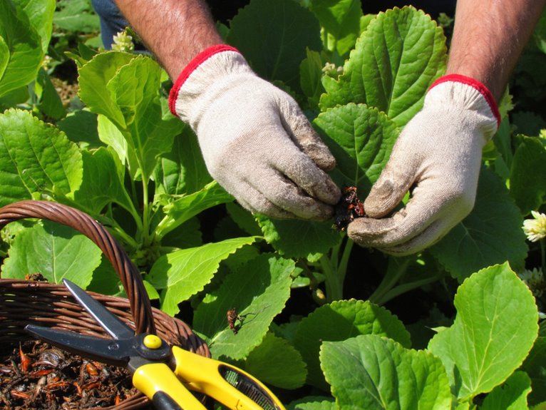 effective pest manual removal