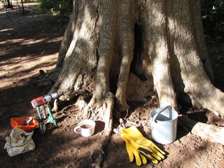 effective tree stump removal