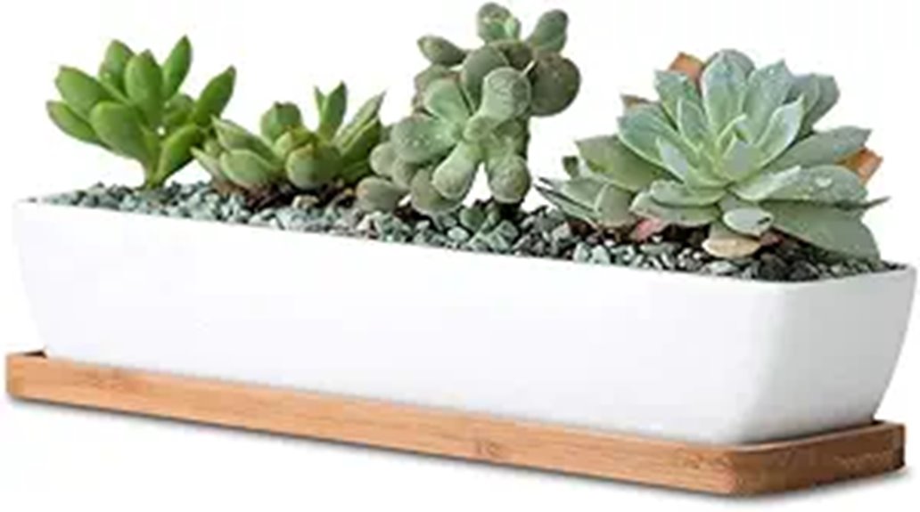 elegant ceramic planter set