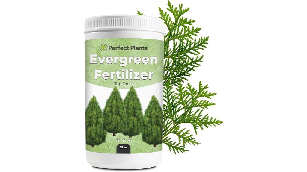 evergreen fertilizer for plants
