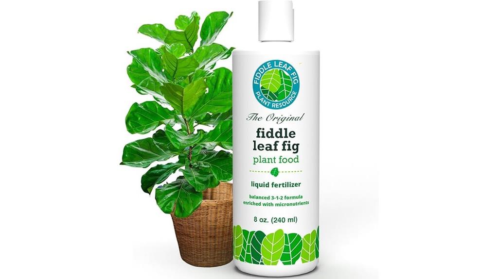 fertilizer for fiddle leaf