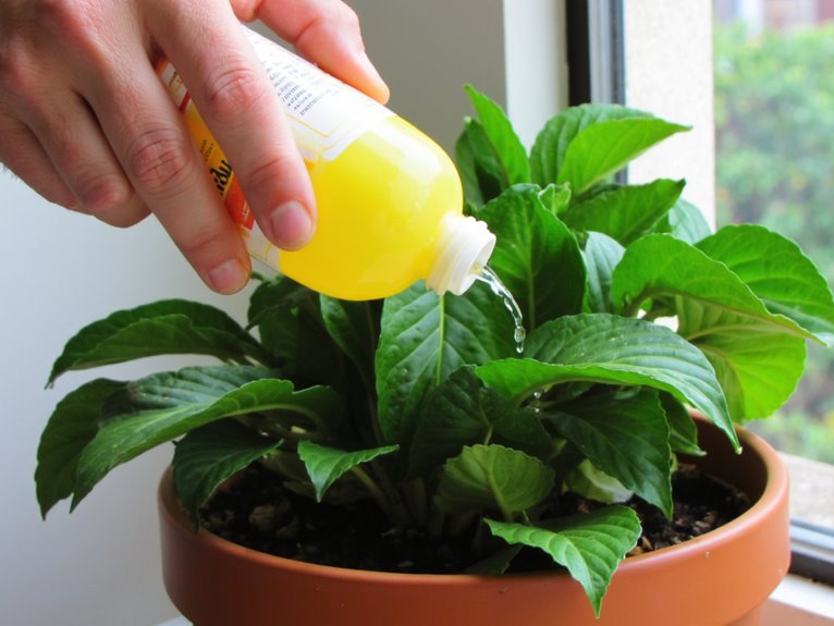 fertilizer techniques for growth
