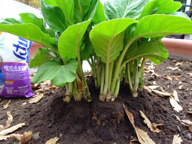 fertilizers and mulch boost recovery